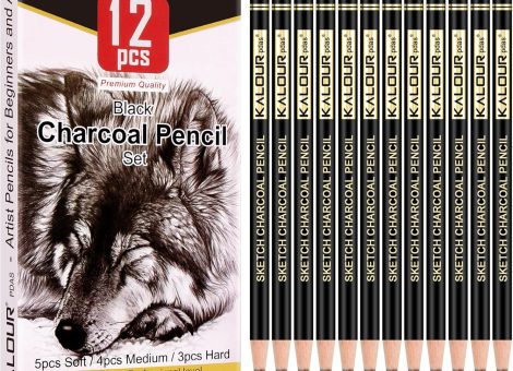 KALOUR Professional Charcoal Pencils Drawing Set -12 Pieces Soft, Medium and Hard Charcoal Pencils for Drawing, Sketching, Shading, Artist Pencils for Beginners & Artists